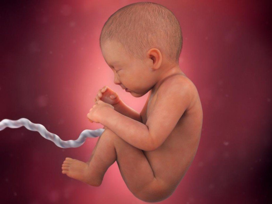 pregnancy-week-34-lung-development_4x3