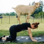 Esistono gli stili di yoga?
