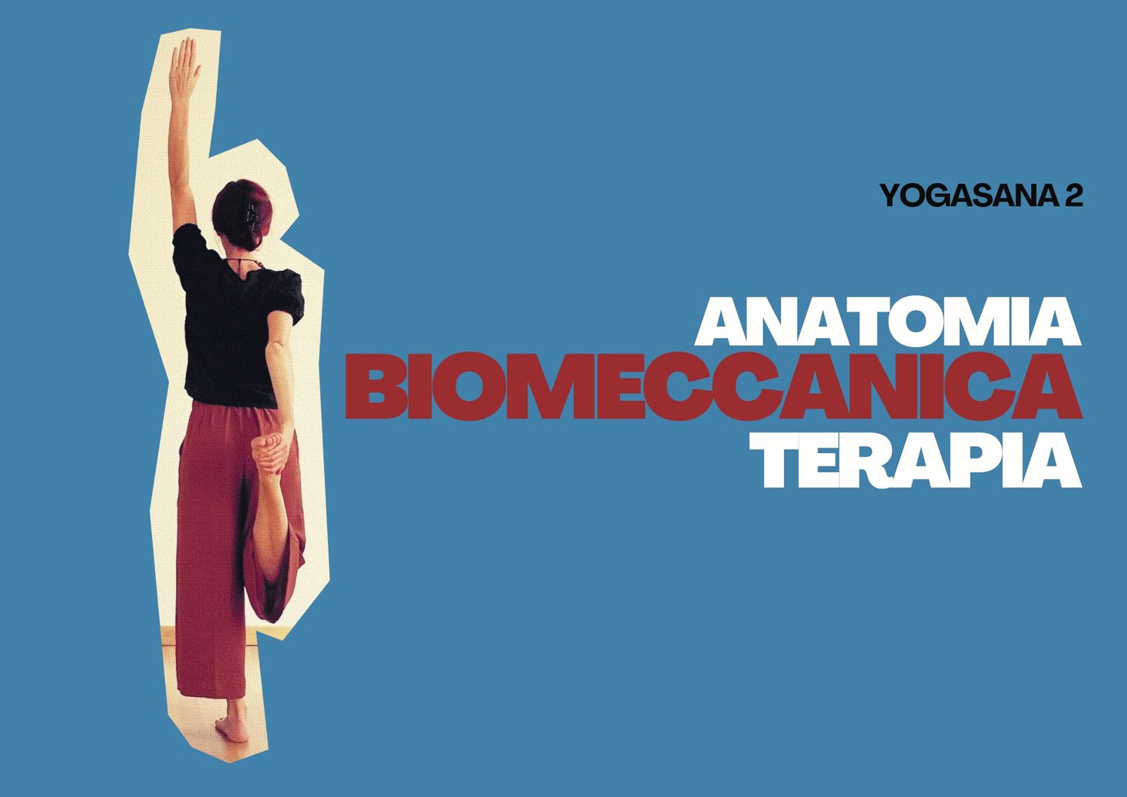 Yogasana 2: anatomia biomeccanica terapia